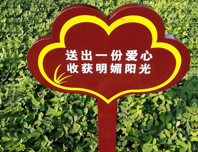 花草(cǎo)牌